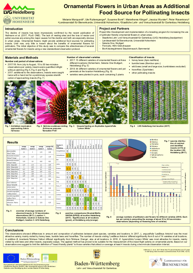 Poster: Ornamental Flowers in Urban Areas as Additional Food Source for Pollinating Insects