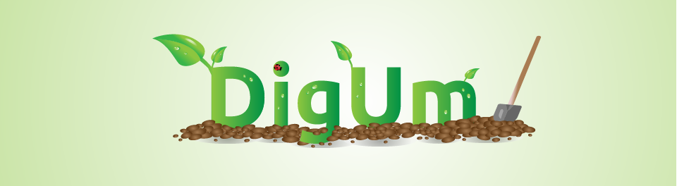 Hier ist das Logo des Kurses DigUm zu sehen