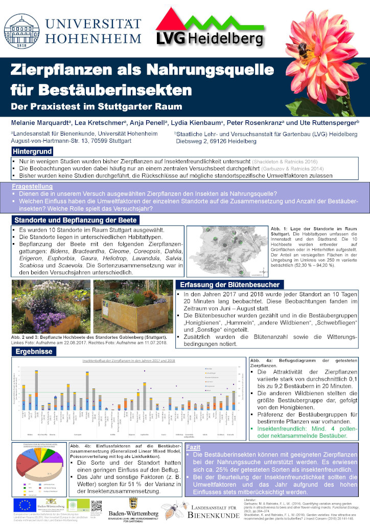 Poster: Zierpflanzen als Nahrungsquelle für Bestäuberinsekten