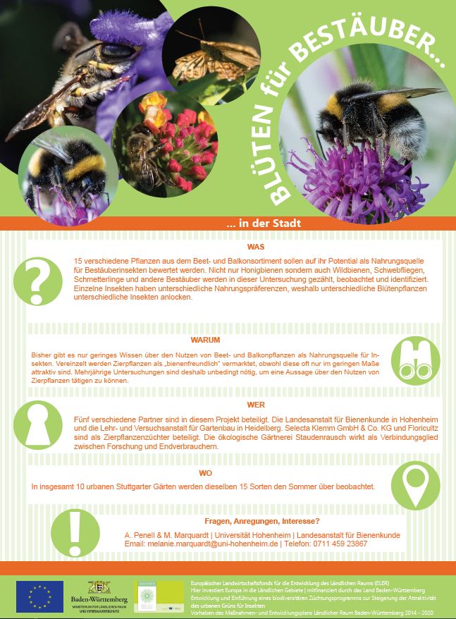 Poster: Blüten für Bestäuber