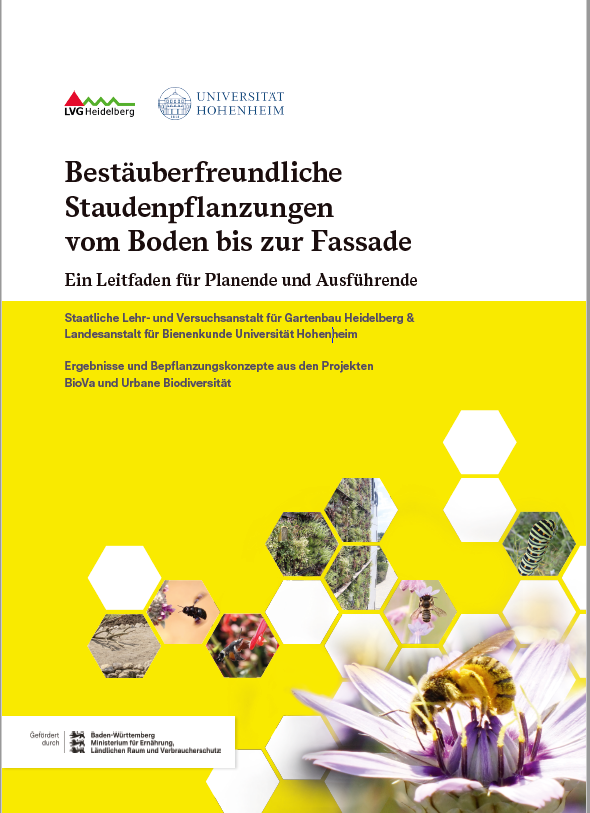 Cover des Handlungsleitfadens Cover des Handlungsleitfadens