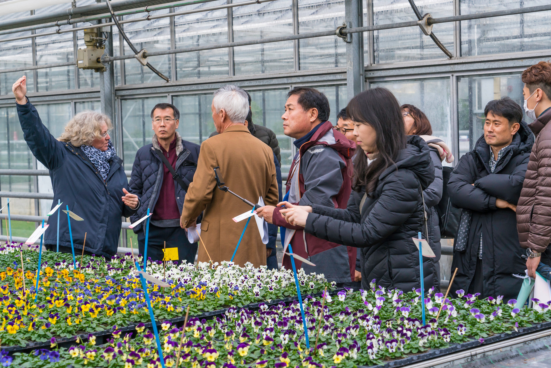 Koreanische Berufsschüllehrer interessieren sich für die Bildungs- und Versuchsarbeit der LVG Heidelberg Koreanische Berufsschüllehrer interessieren sich für die Bildungs- und Versuchsarbeit der LVG Heidelberg